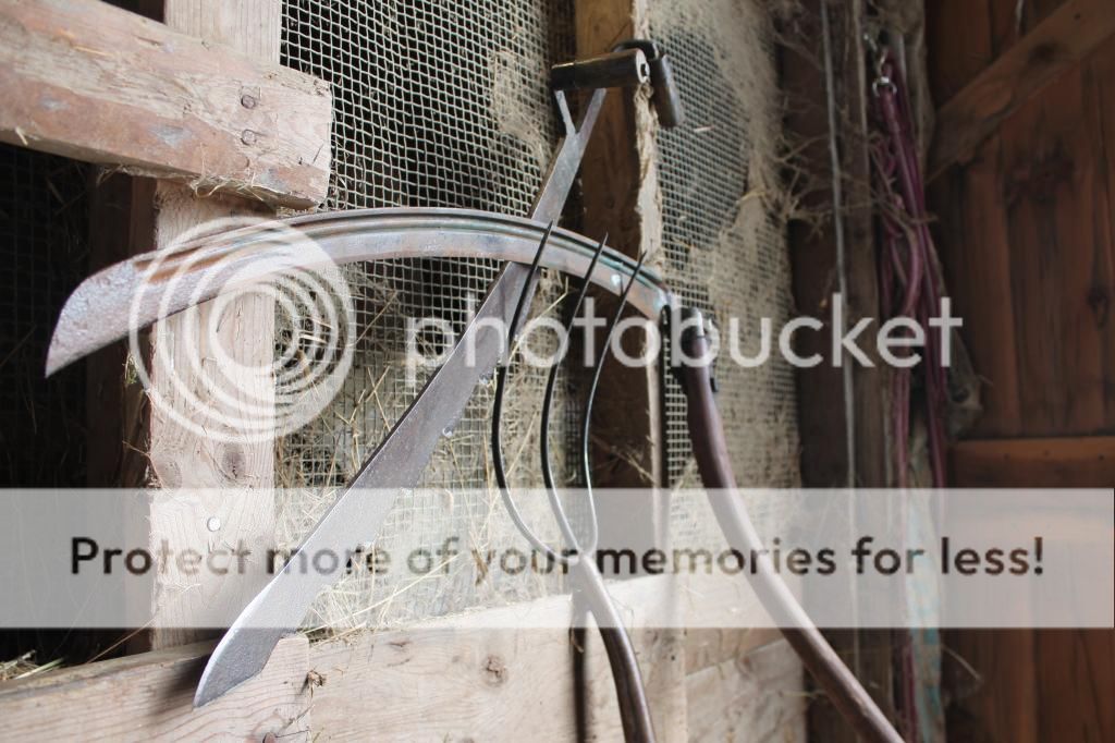 IMG_34822_zpse2bc18ae.jpg
