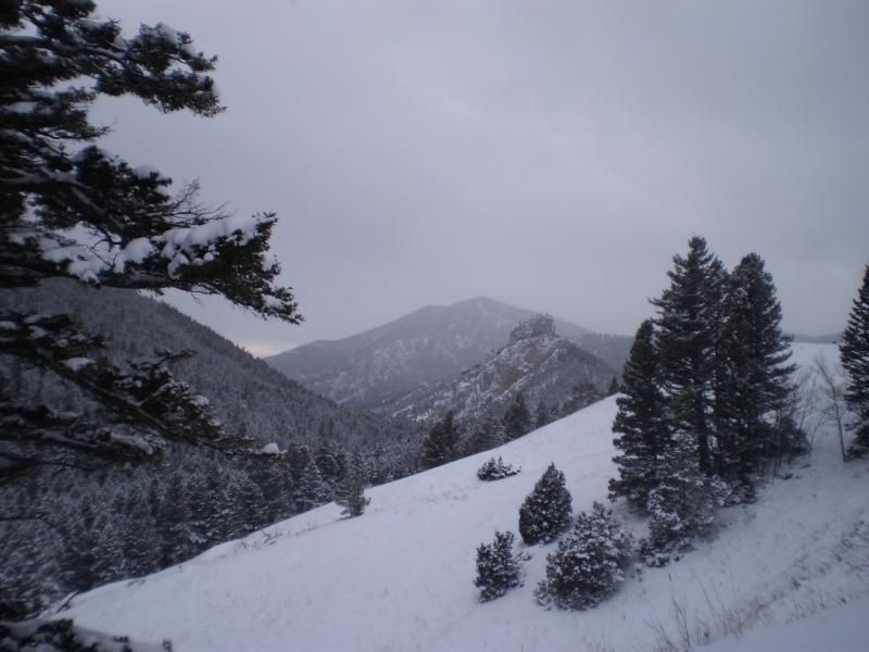 scenery_zpsff2468ef.jpg