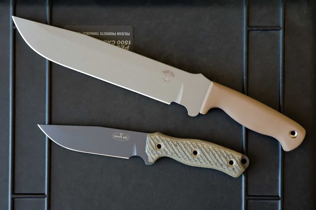 Busse_3.jpg