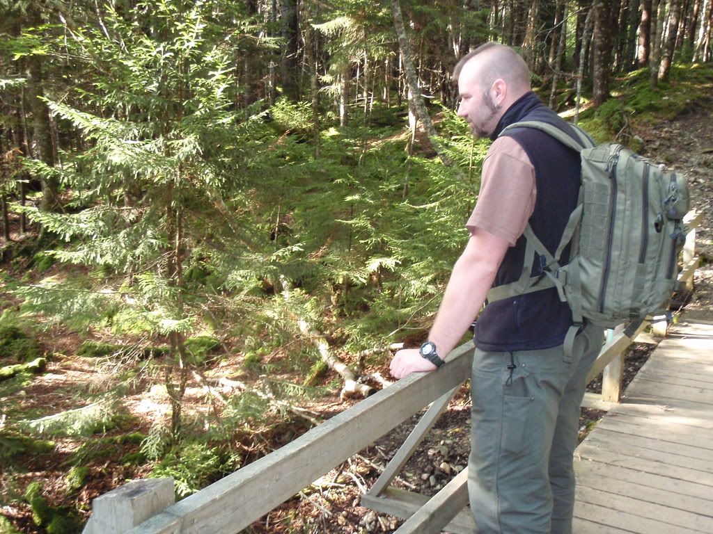 Maine08330.jpg