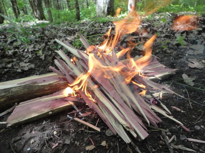 bushclass127.jpg