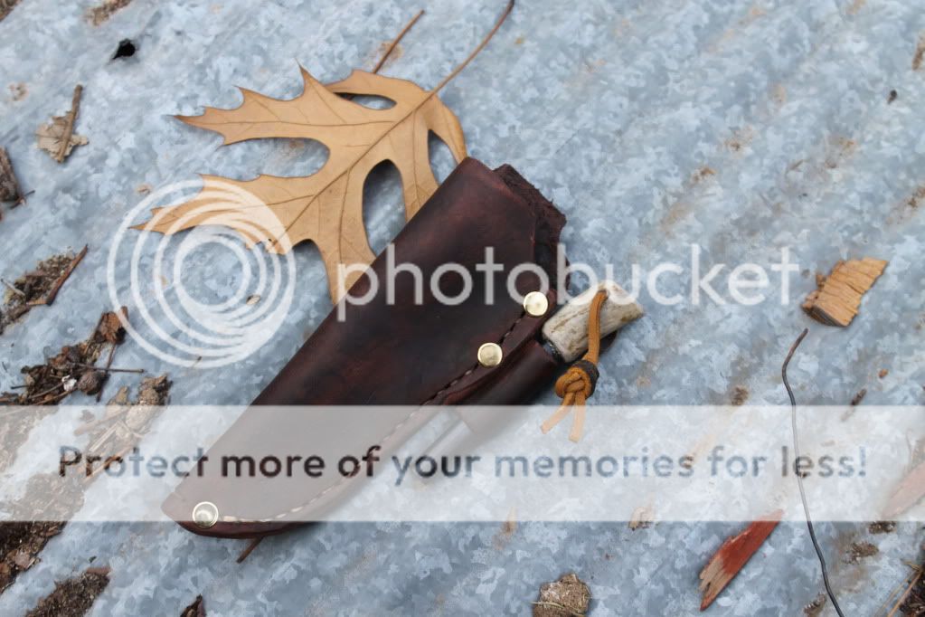 IMG_2100_zps85dbc109.jpg