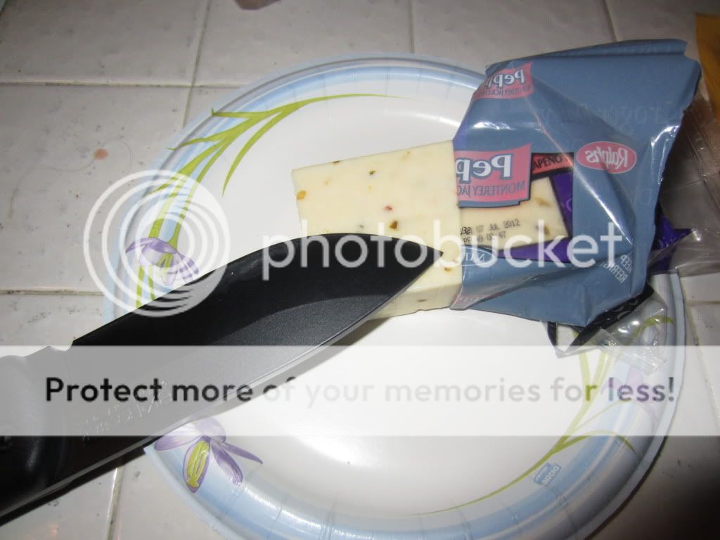 IMG_3988.jpg