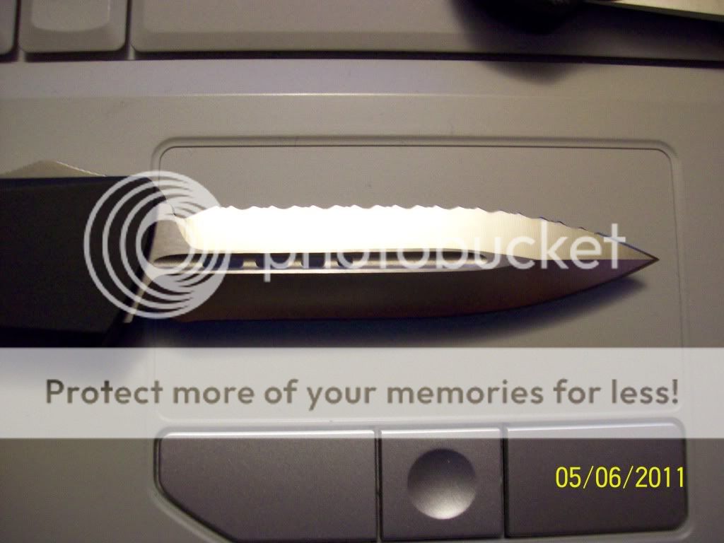 100_1031.jpg