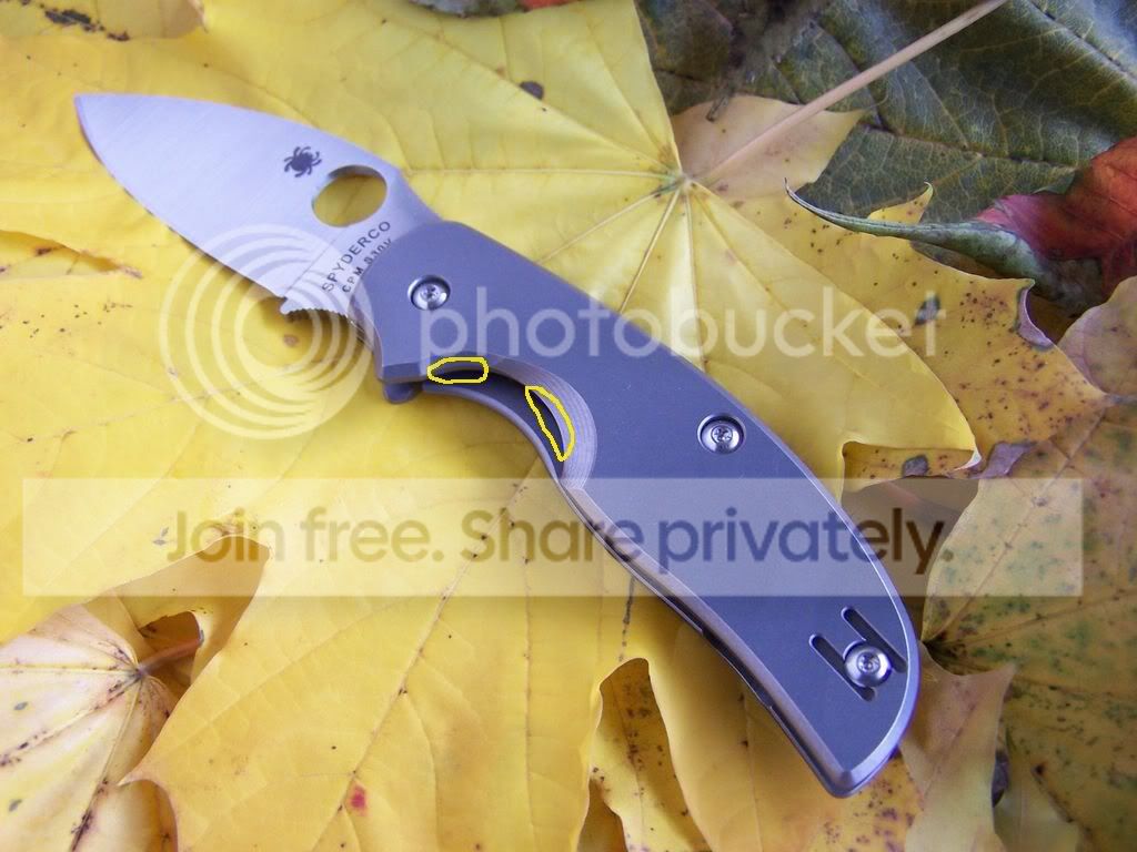 Spyderco-SageRILTi009beveledvssharp.jpg