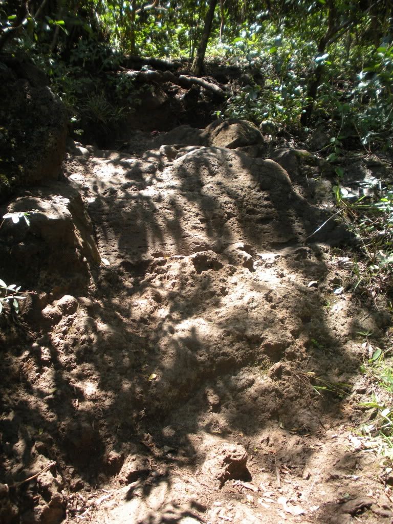 DSCN0701.jpg