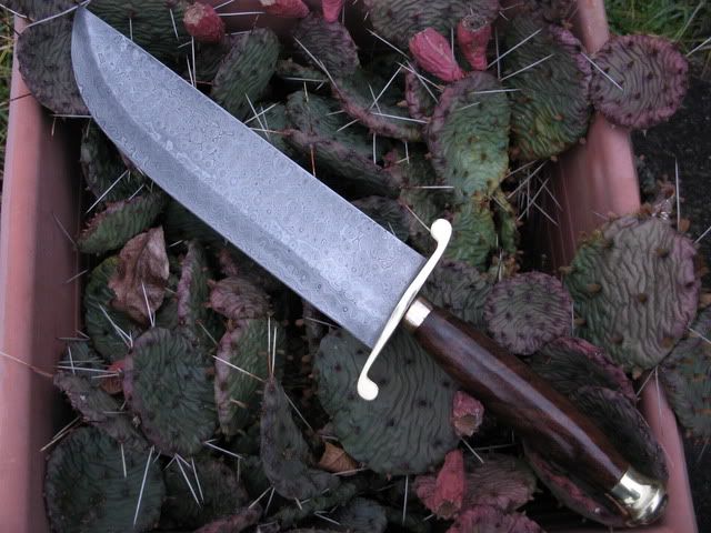 DamascusBowie004.jpg