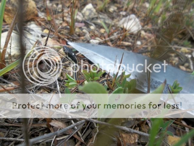 100_3365.jpg