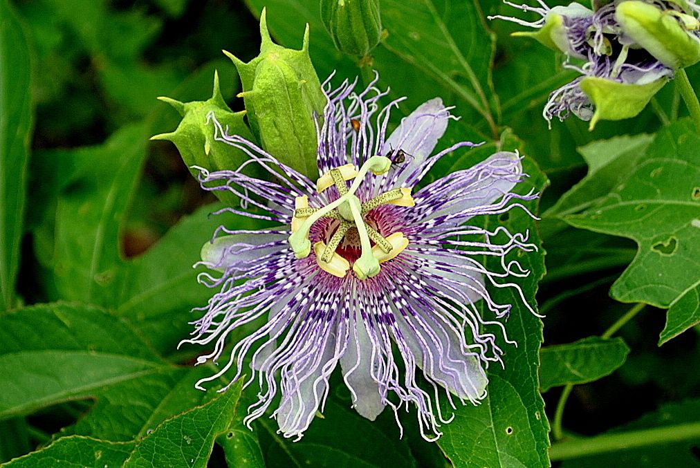 DSC_3183c.jpg