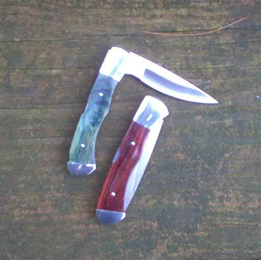 BuckLock.jpg