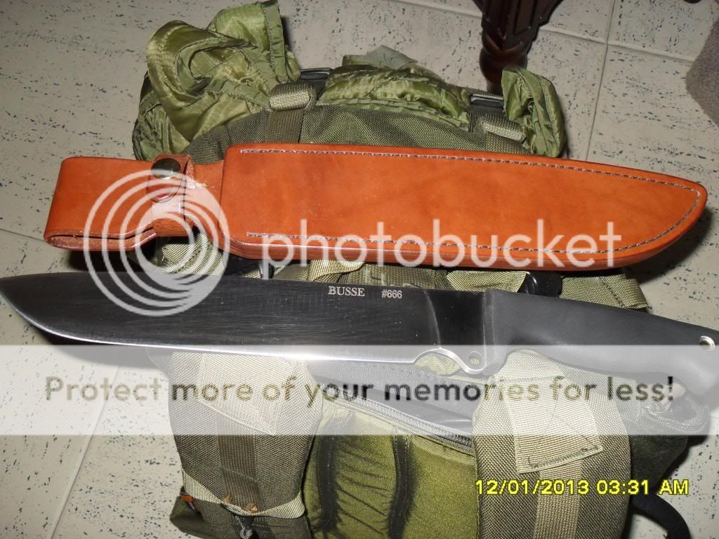 SDC15341_zpsd844cc3d.jpg