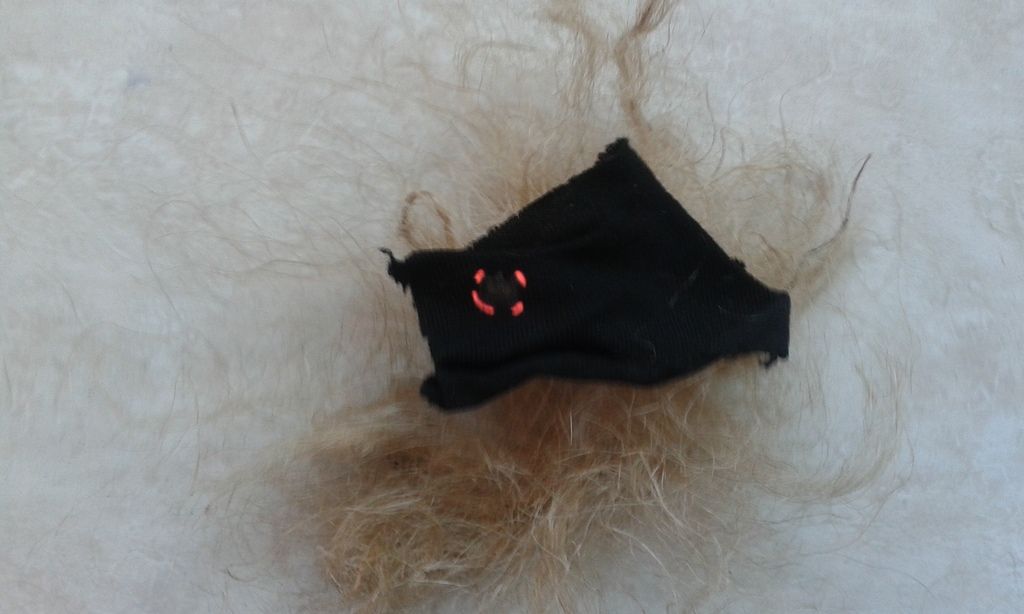20150810_093725_zpsouallmrt.jpg