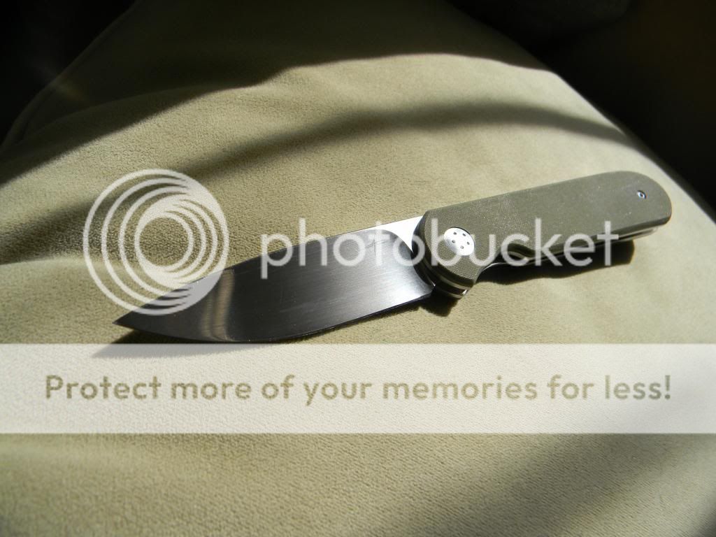 DSCN2933_zps188cfee6.jpg
