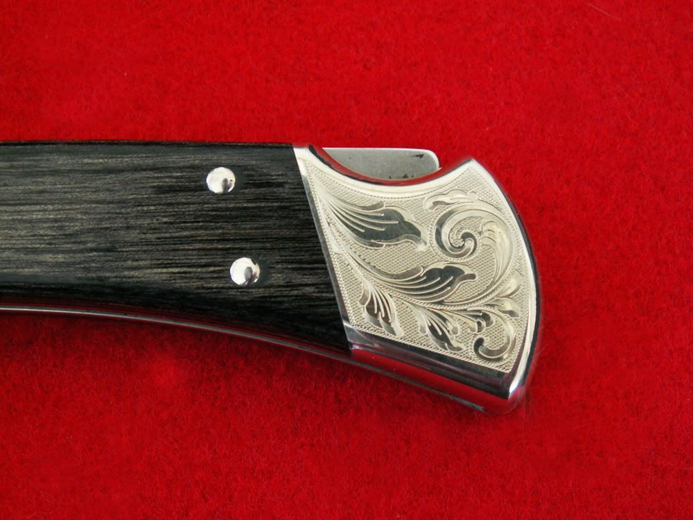 WT1103.jpg