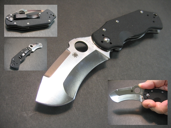 spydercocaptain.jpg