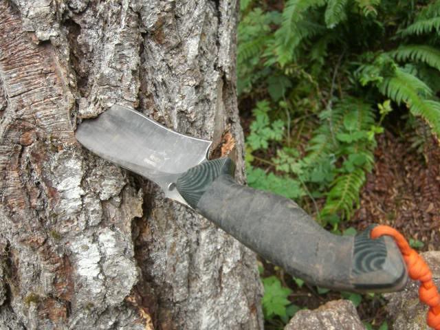 CIMG1735.jpg