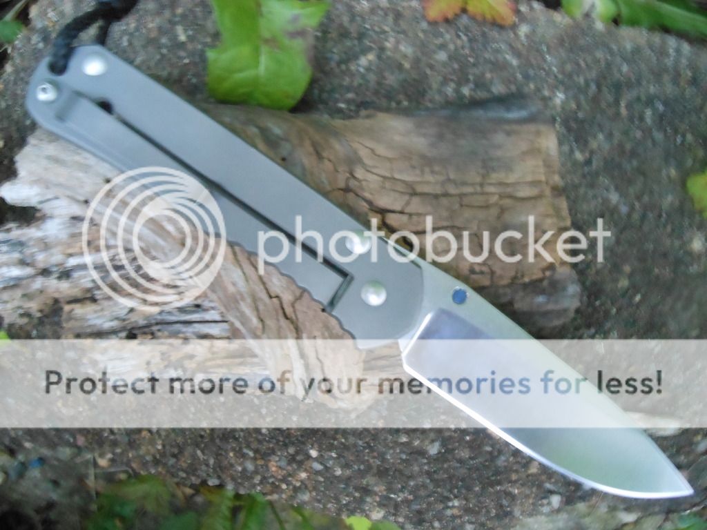 DSCN1266.jpg