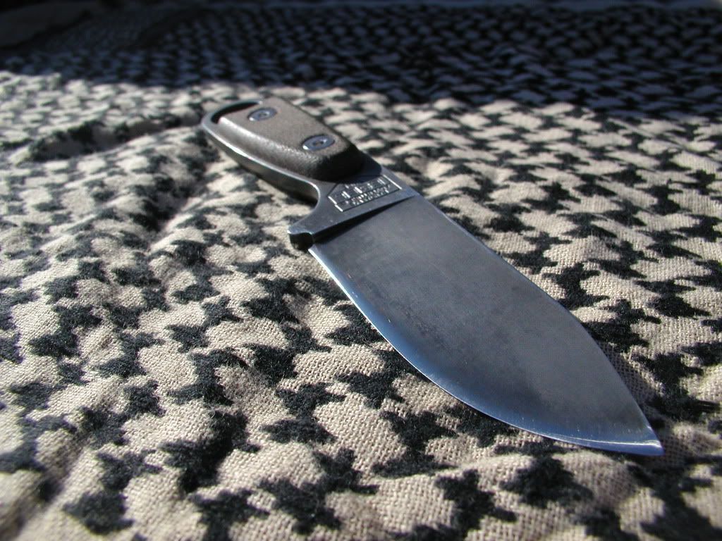 14Scales1.jpg
