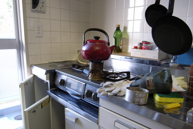 2007.03.27.R0010284.JPG