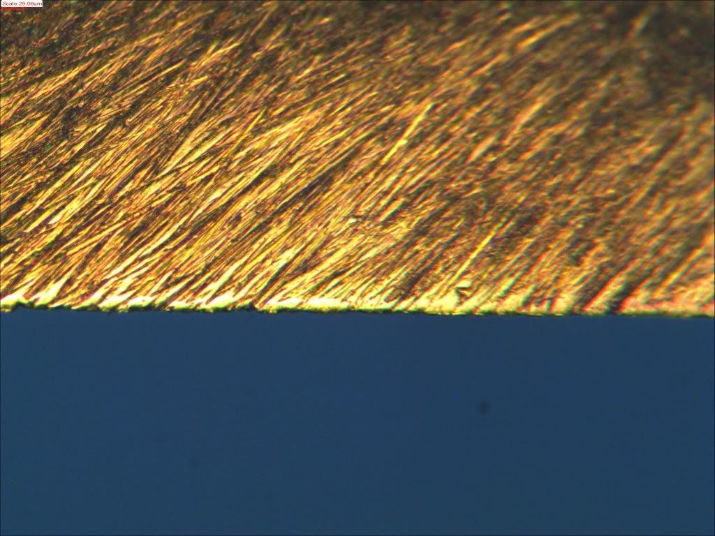 C_160_3_SC_3.jpg