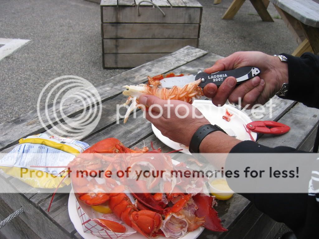IMG_0666.jpg