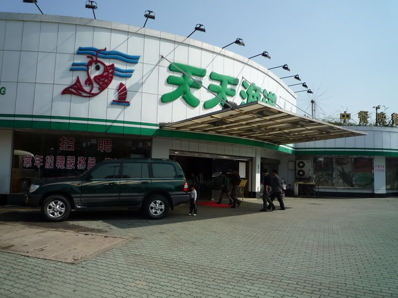 P1020717.jpg