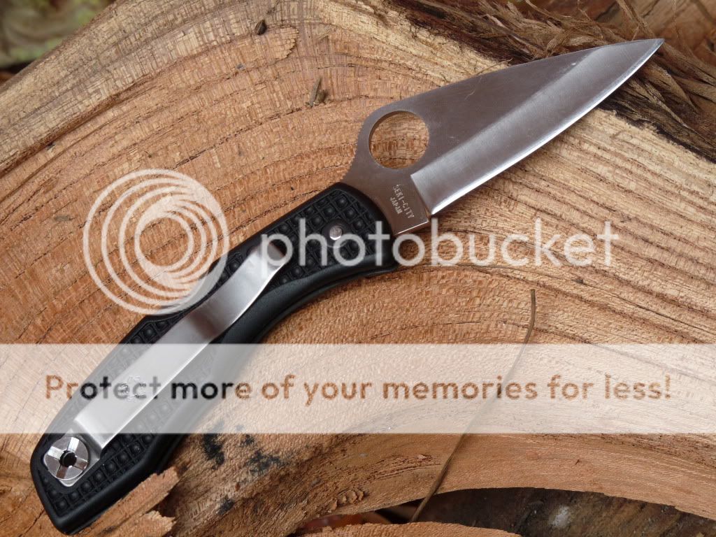 spydercosalt1back.jpg