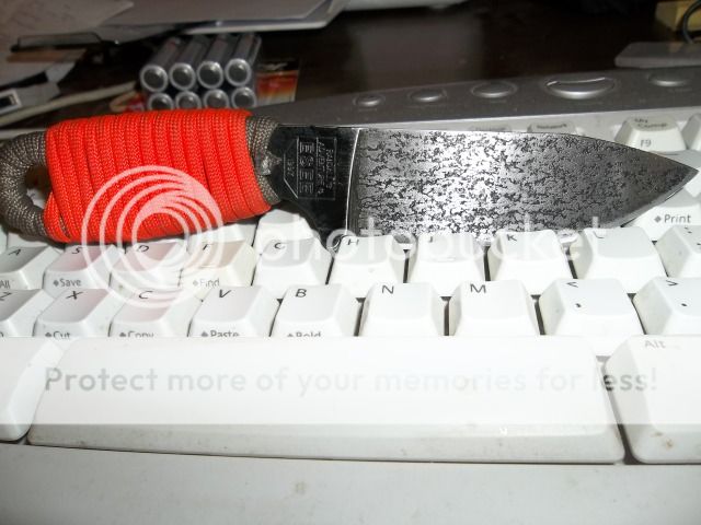 100_0041.jpg