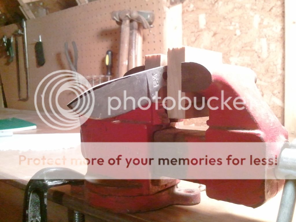 2012-08-25213713.jpg