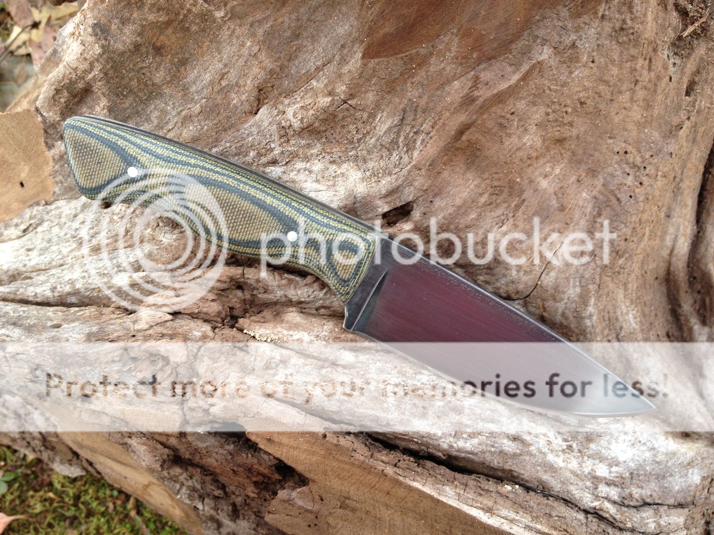 null_zps3902c780.jpg