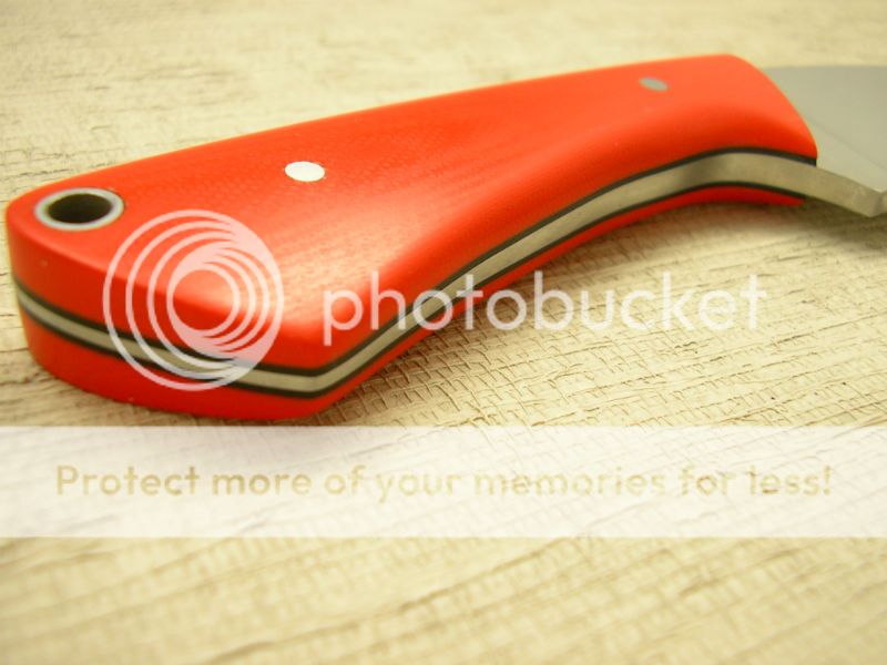 IMGP2060_zps6eb76879.jpg