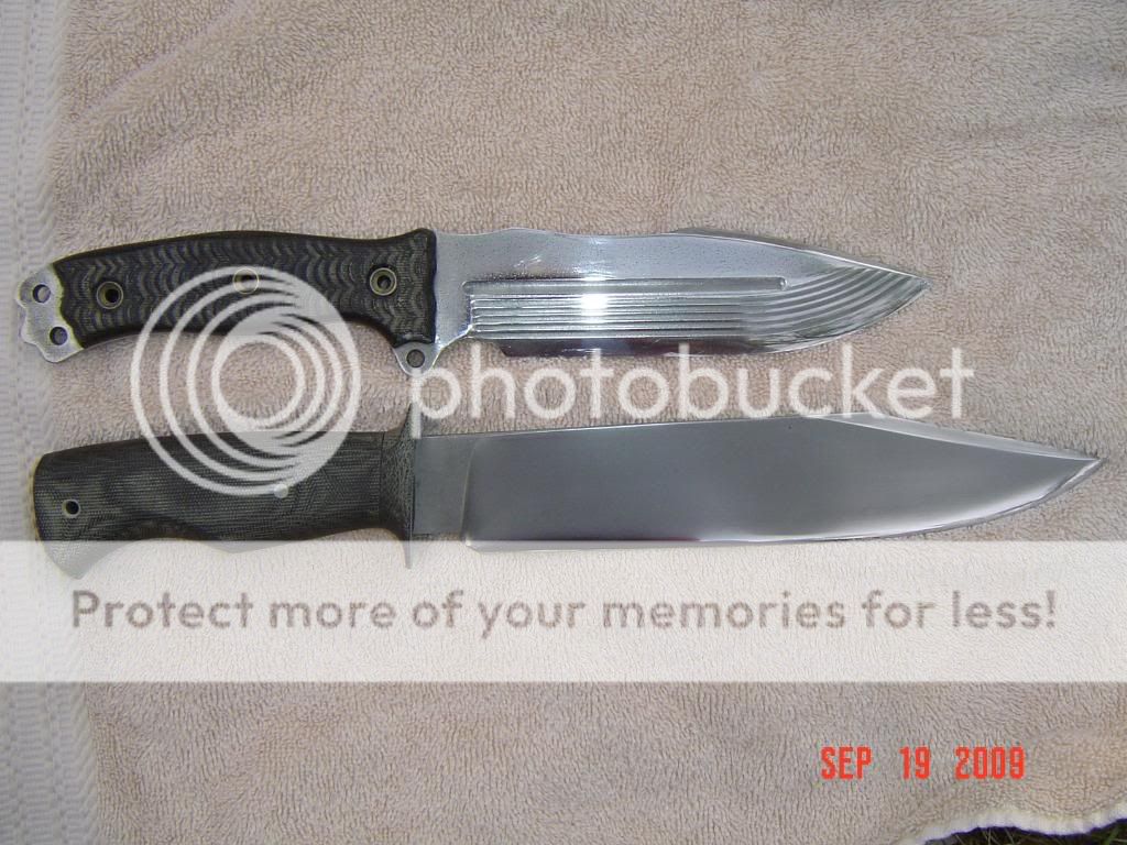 Picture017.jpg