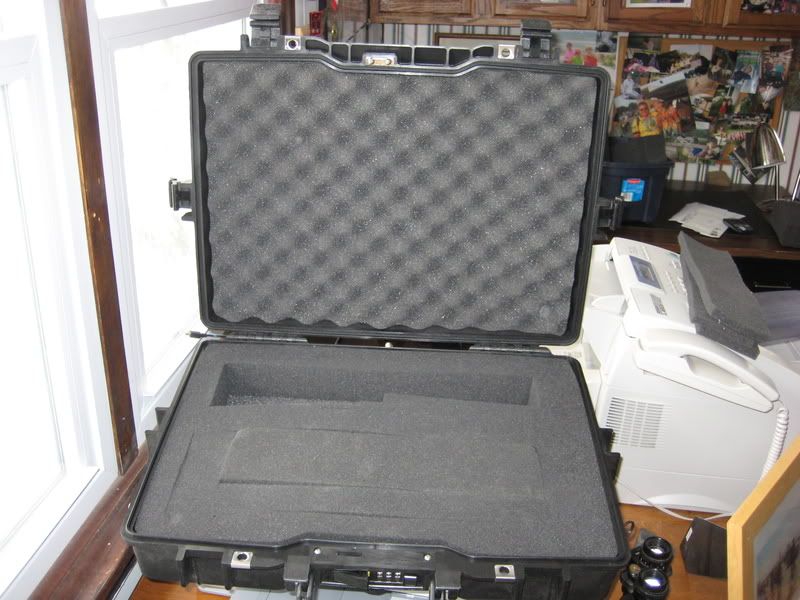 pelican1495002.jpg