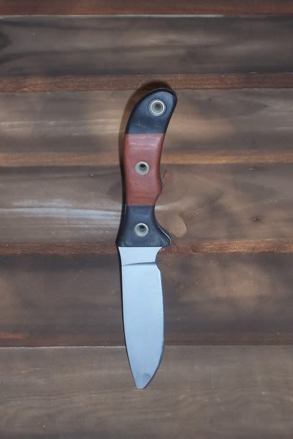 DogSkinnerNov07.jpg