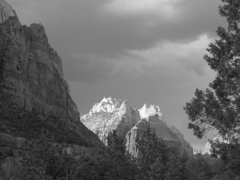 IMG_4835.jpg