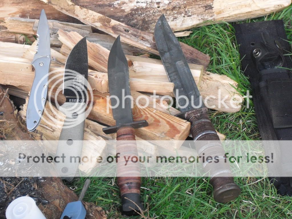 Anothercloseupknifefamily.jpg