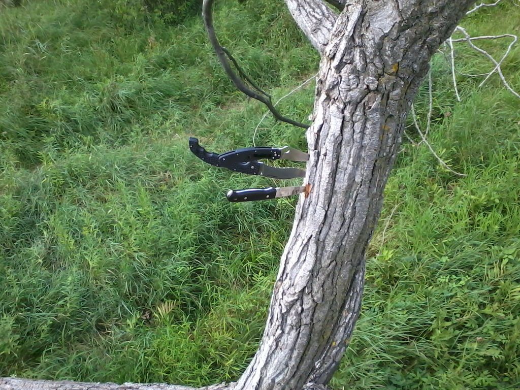 Photo0841_zpsk1zom3oo.jpg