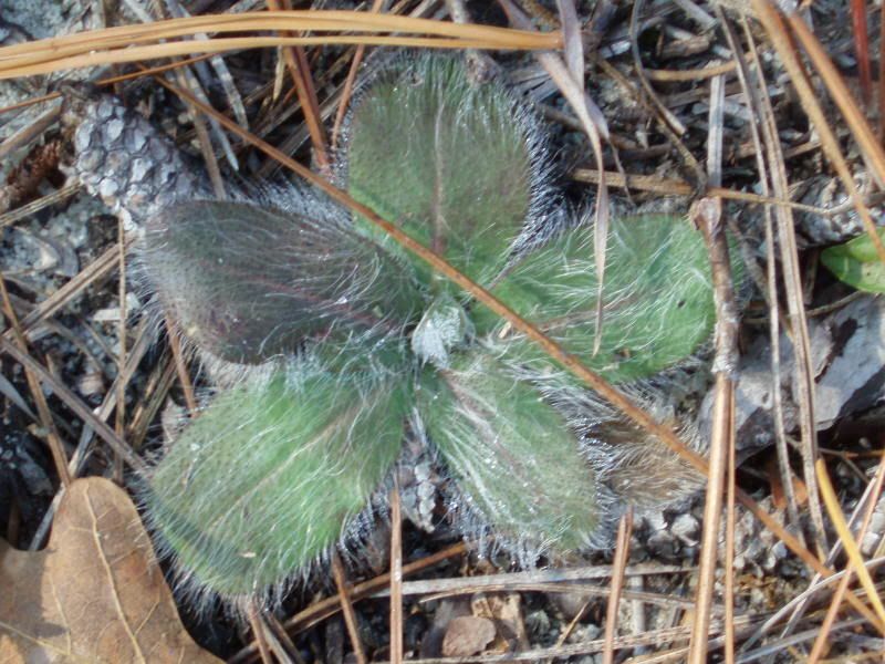 PB190019.jpg