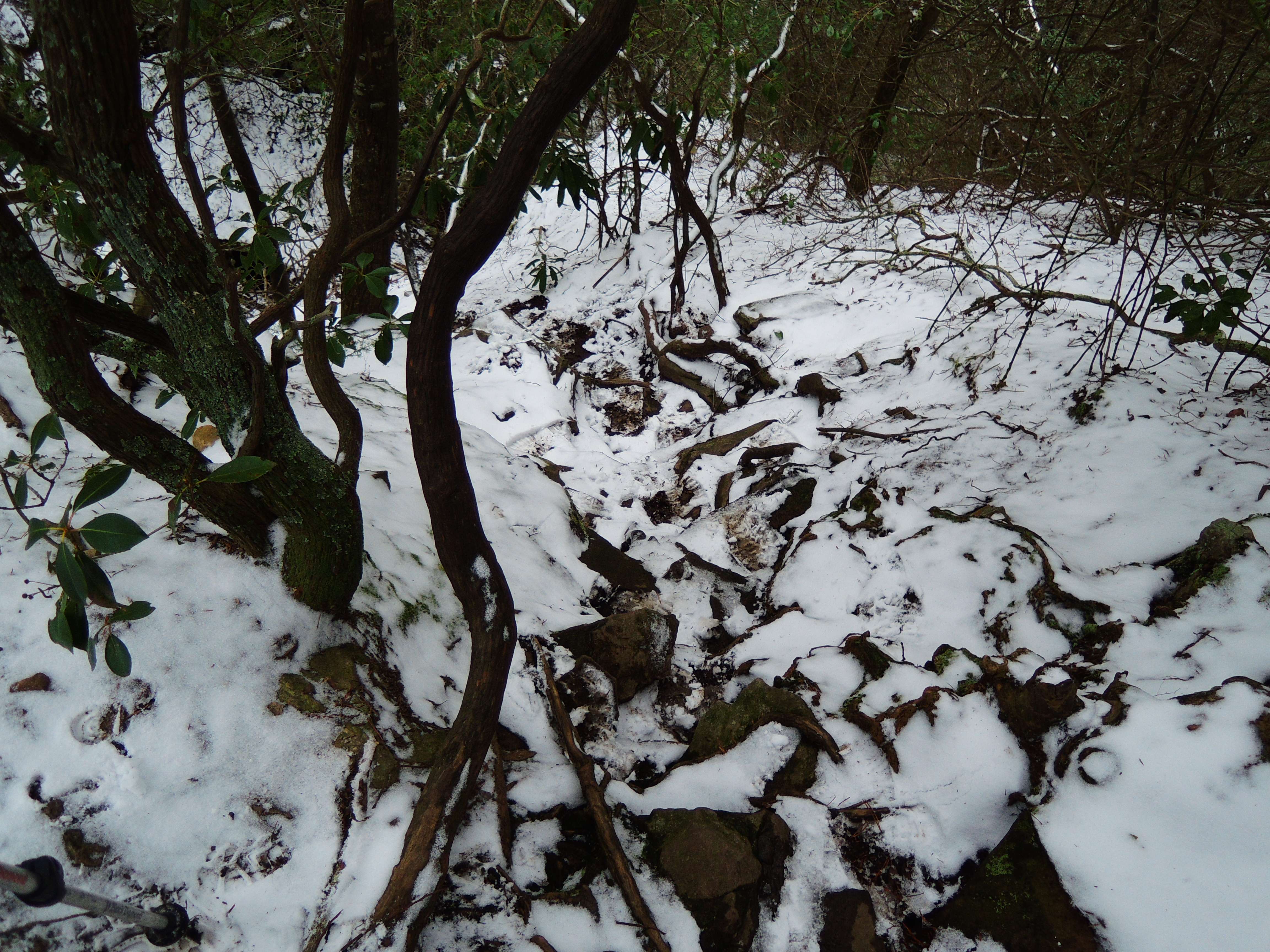 dscn8335.jpg