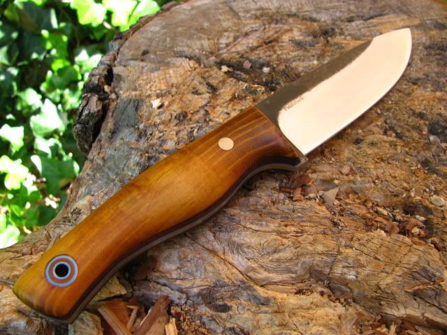 FiddlebackHunter009.jpg