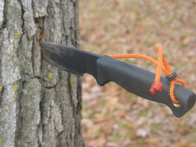 EDC077.jpg