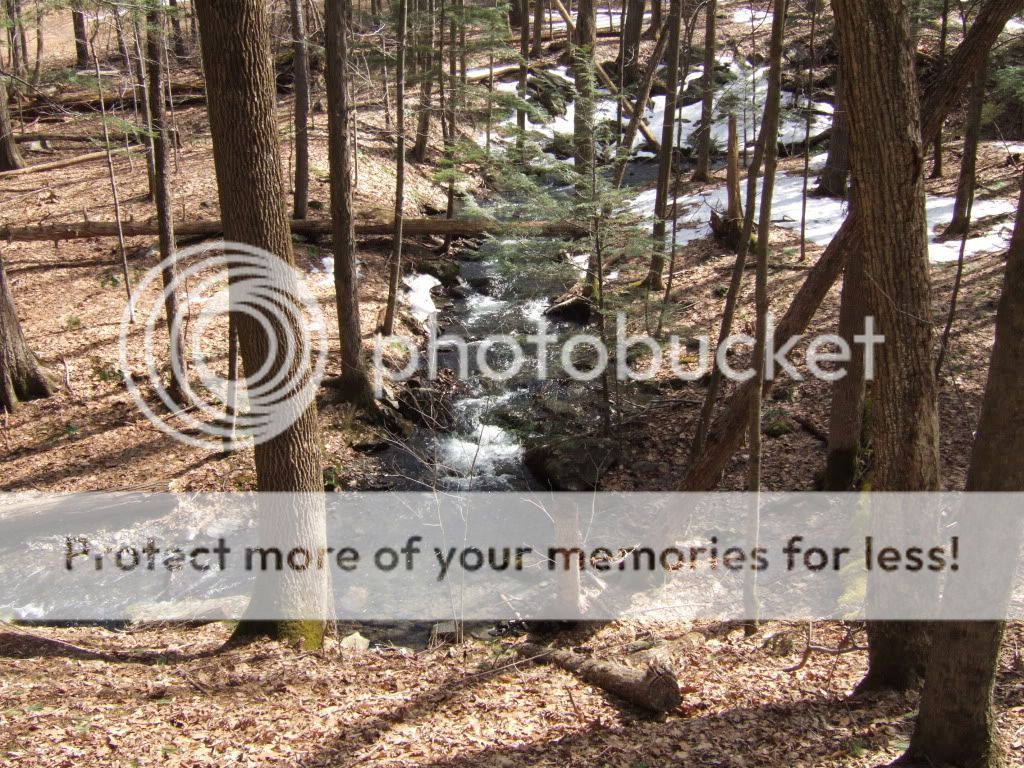 DSCF1042.jpg