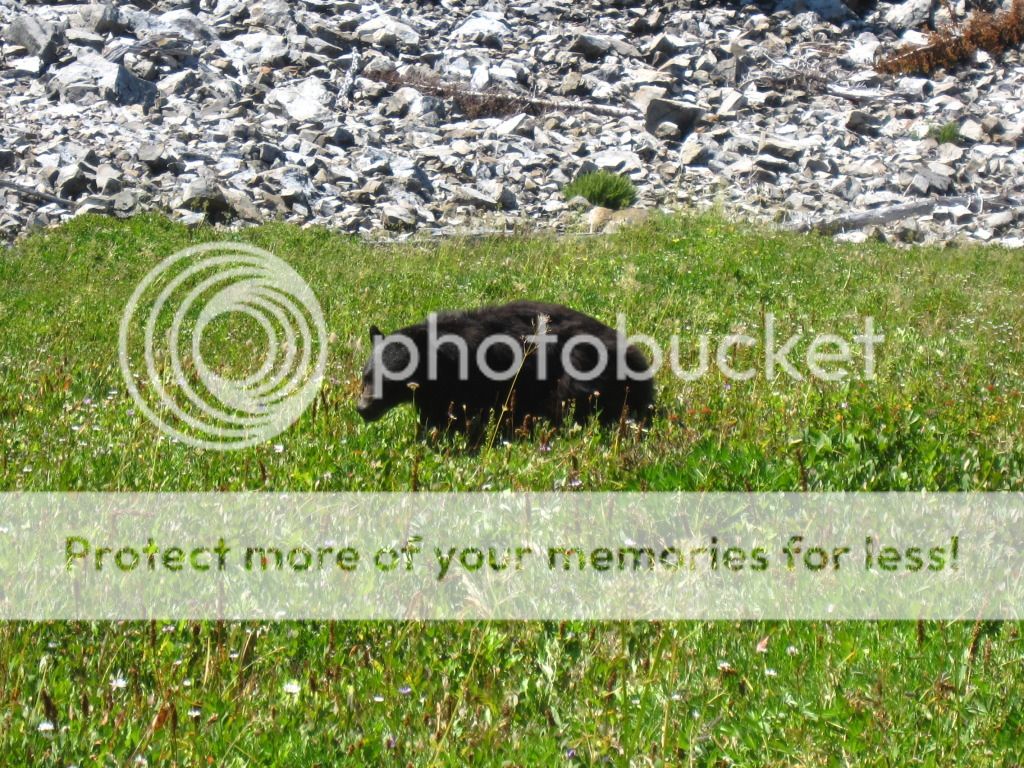 324.jpg