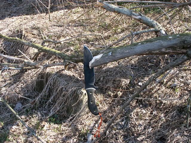 Picture023.jpg