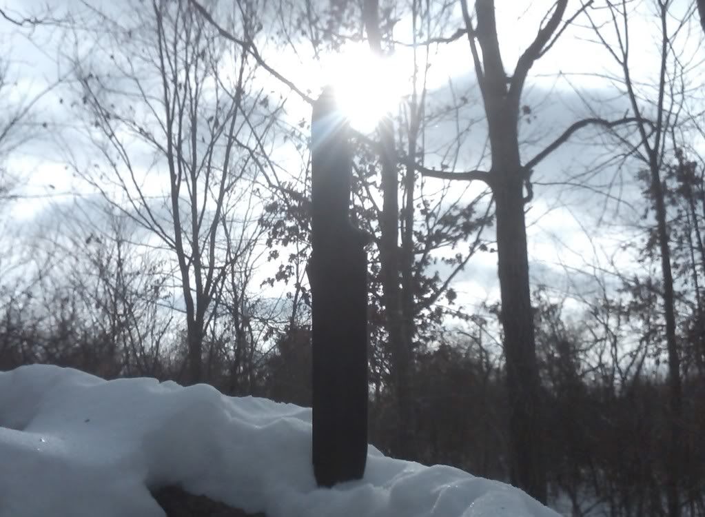 20101227_dc_11b.jpg