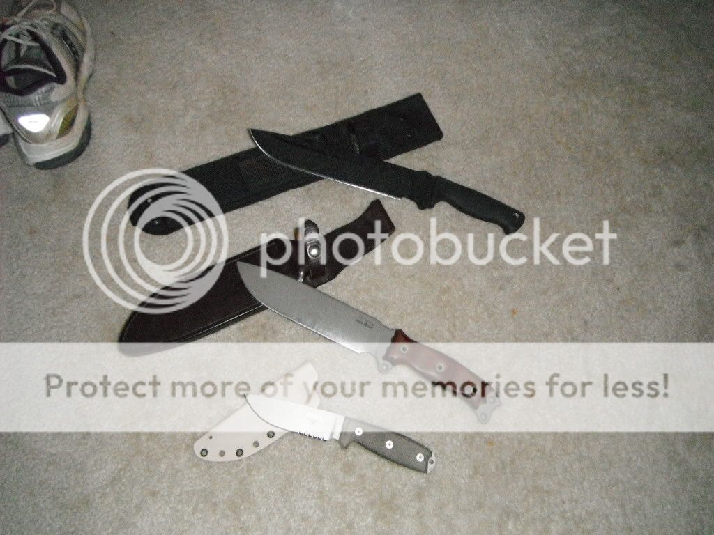 DSCF0050.jpg