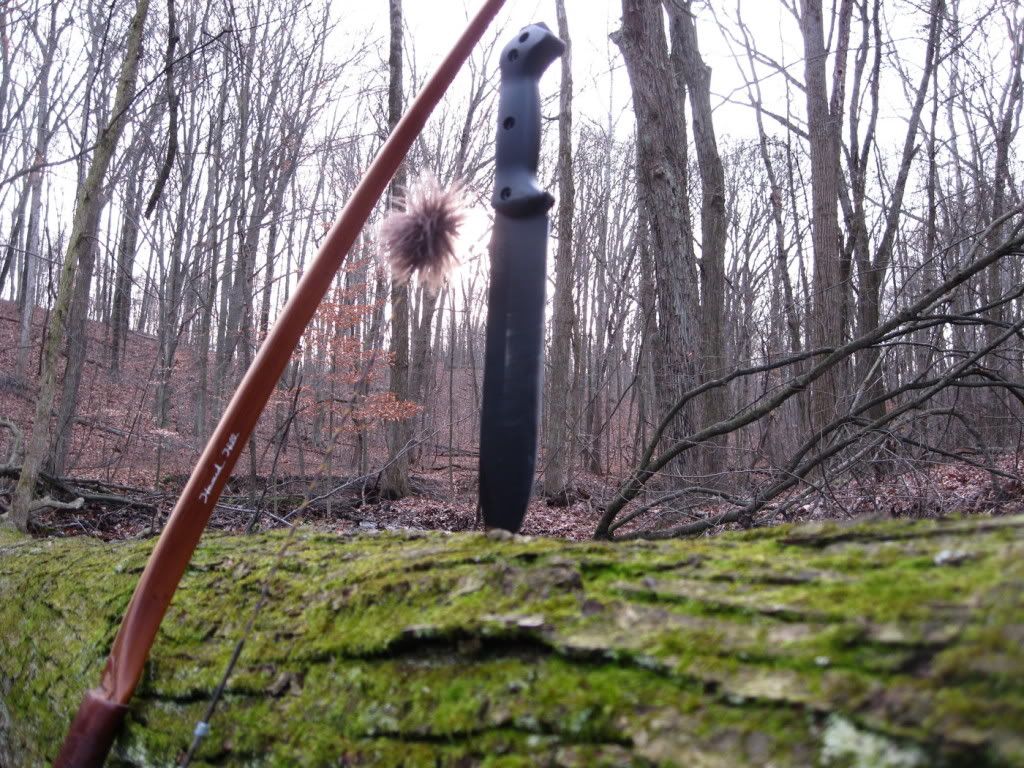 20111117_ac_IMG_0739.jpg