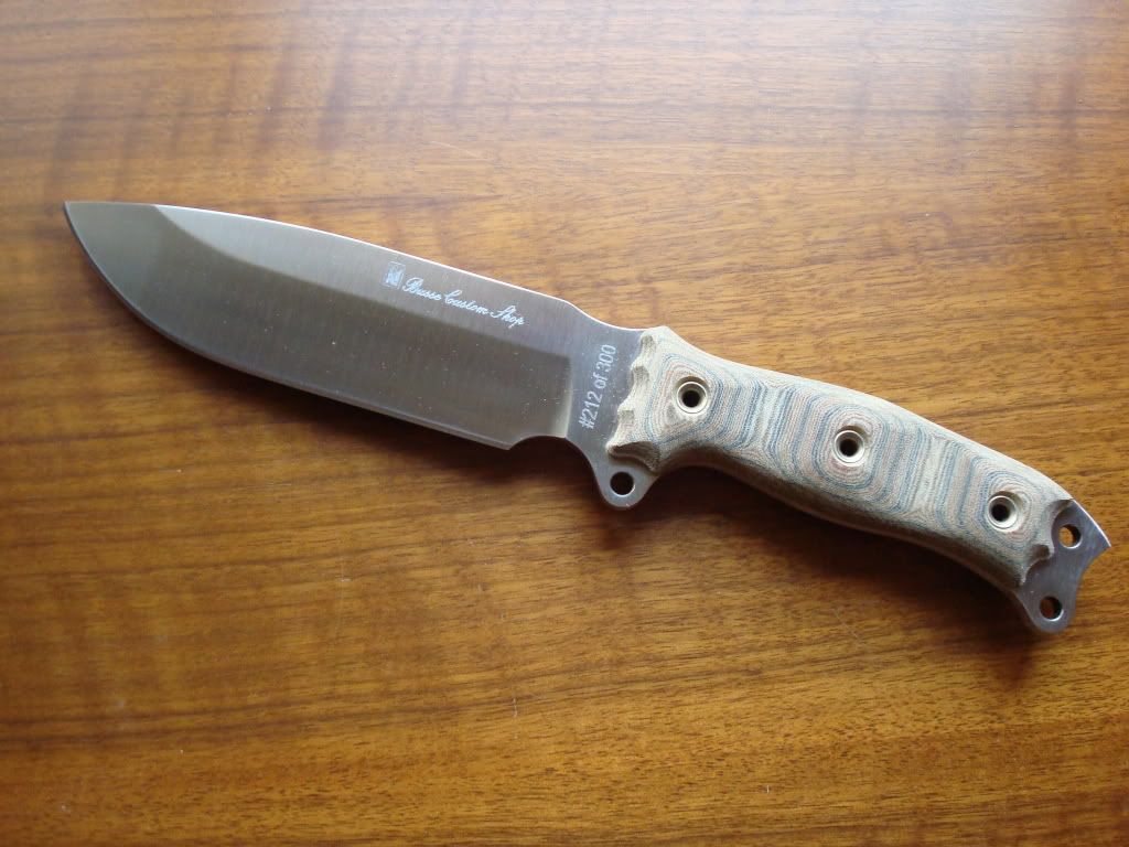 Busse004.jpg