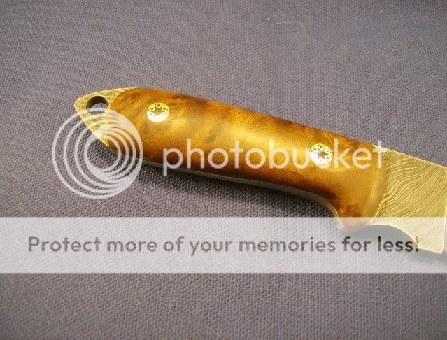 HPIM0884.jpg