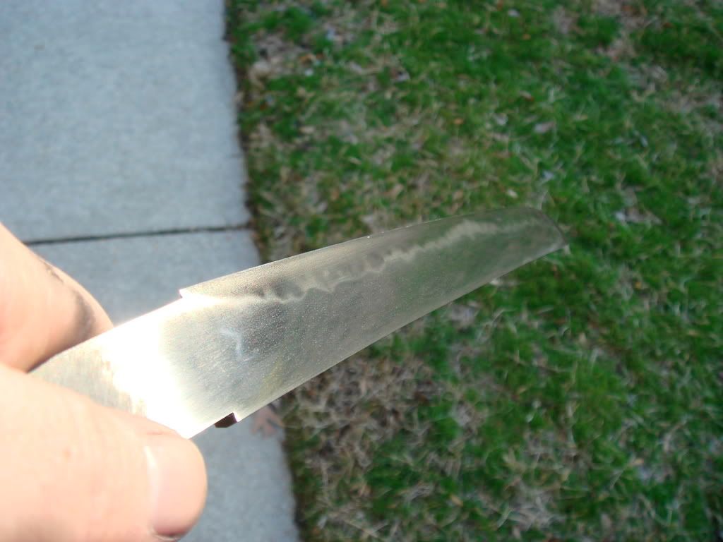 DSC02844.jpg